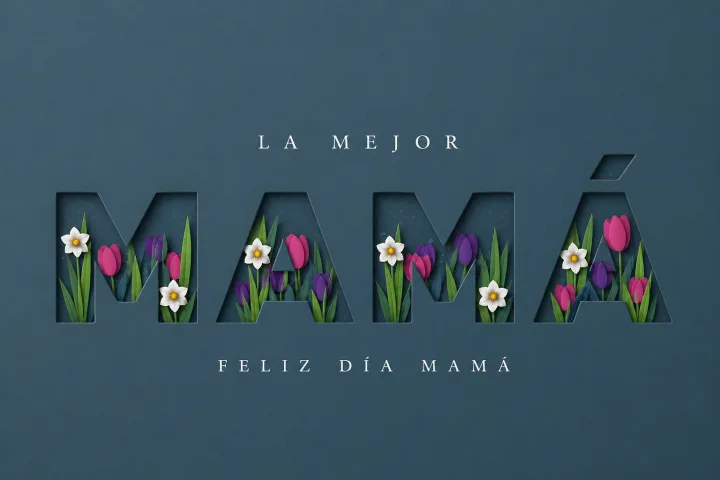 Mamá 6
